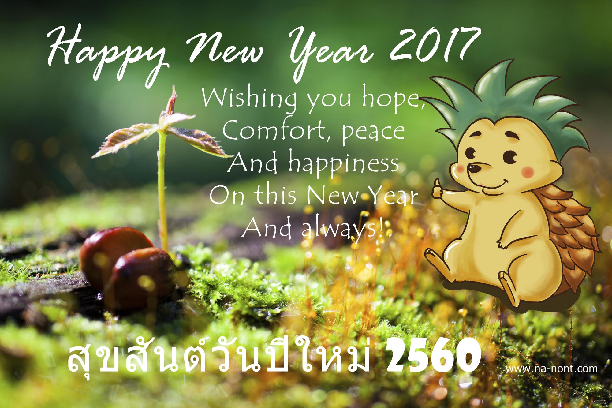 Images/Blog/7180251-HAPPY NEW YEAR 2017_NA_NONT.jpg
